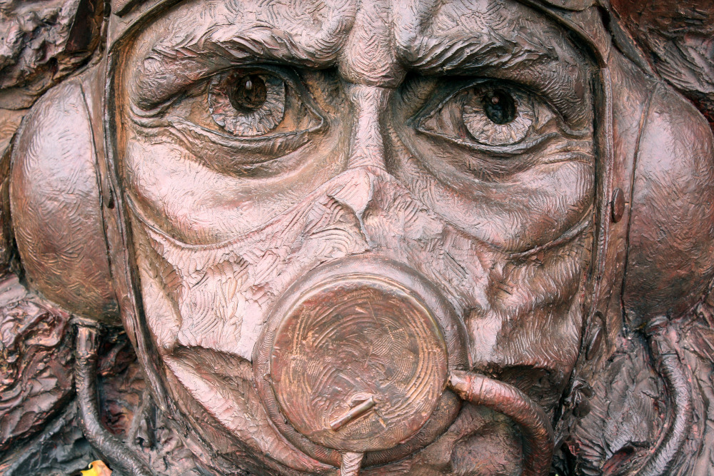  Photo by Feggy Art, CC BY-NC-ND License