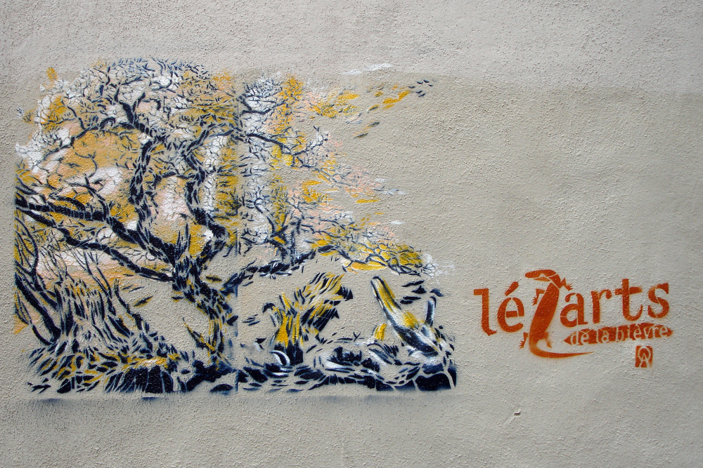  Photo by Carsten ten Brink, CC BY-NC-ND License
